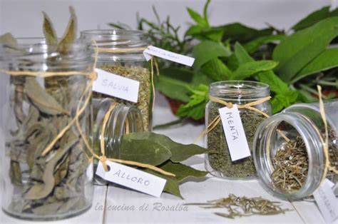 Erbe aromatiche essiccate in barattoli di vetro