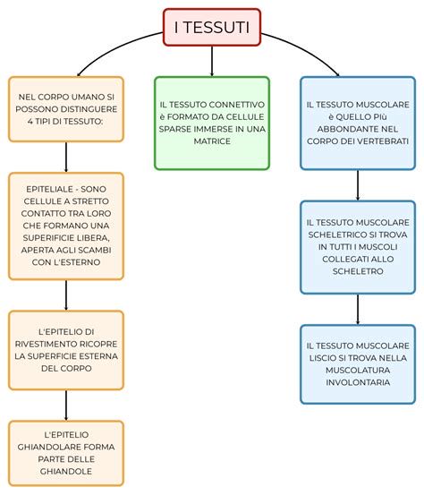 Schema dei diversi tipi di tessuti non tessuti