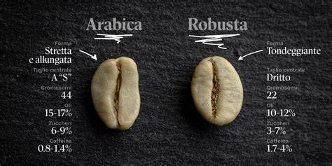 Tipi di chicchi di caffè: Arabica e Robusta
