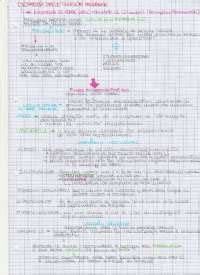 schema riassuntivo sull'attività didattica di colorazione
