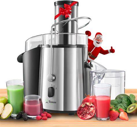 Estrattore di succo professionale con frutta fresca