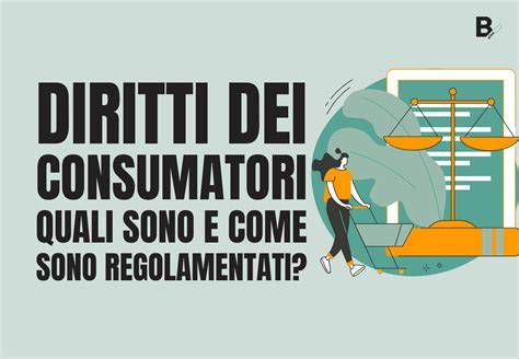 infografica riassuntiva sui diritti del consumatore in materia di servizi idrici