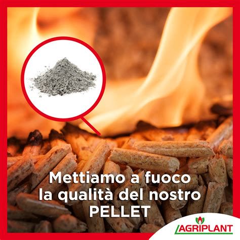 Grafico del residuo di cenere del pellet