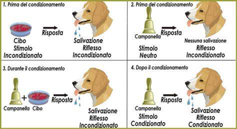 Schema del condizionamento classico di Pavlov: stimolo neutro, incondizionato e risposta