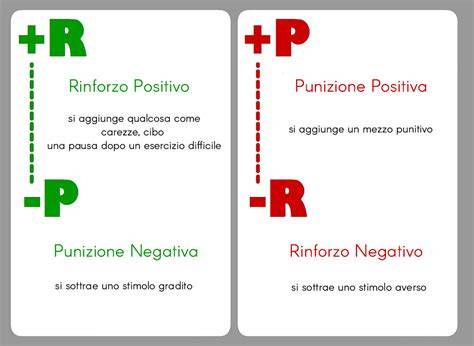 Grafico comparativo tra rinforzo positivo e punizione negativa nell'addestramento